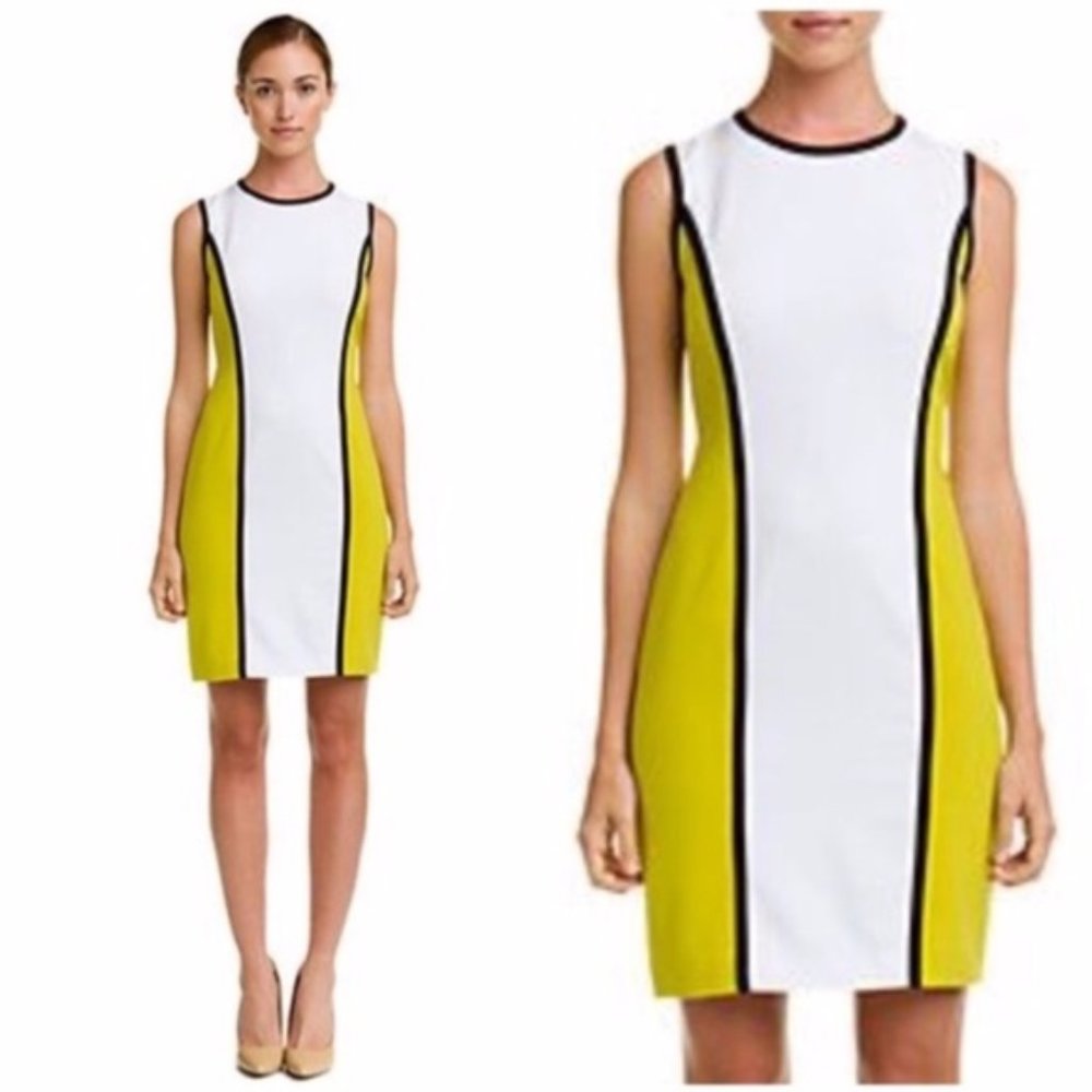 Calvin Klein Sleeveless Color Block Dress